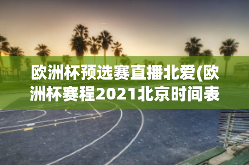 欧洲杯预选赛直播北爱(欧洲杯赛程2021北京时间表)