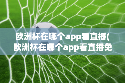 欧洲杯在哪个app看直播(欧洲杯在哪个app看直播免费)