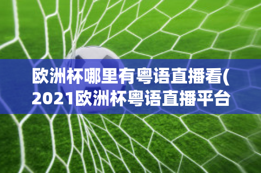 欧洲杯哪里有粤语直播看(2021欧洲杯粤语直播平台)