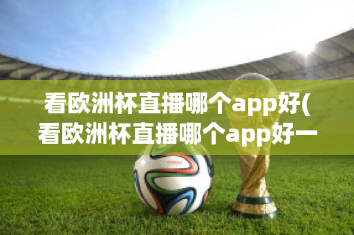 看欧洲杯直播哪个app好(看欧洲杯直播哪个app好一点)