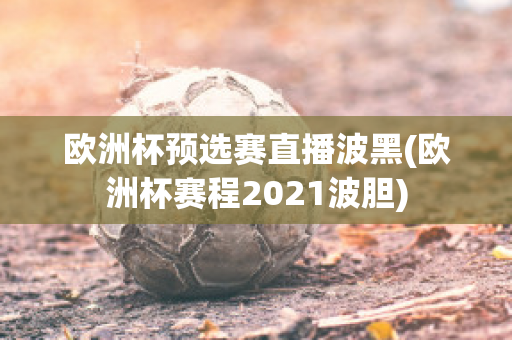 欧洲杯预选赛直播波黑(欧洲杯赛程2021波胆)