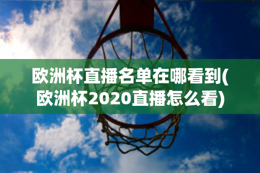 欧洲杯直播名单在哪看到(欧洲杯2020直播怎么看)