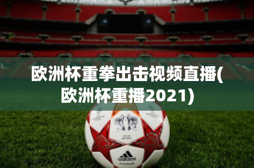 欧洲杯重拳出击视频直播(欧洲杯重播2021)