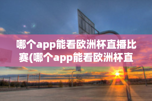 哪个app能看欧洲杯直播比赛(哪个app能看欧洲杯直播比赛回放)