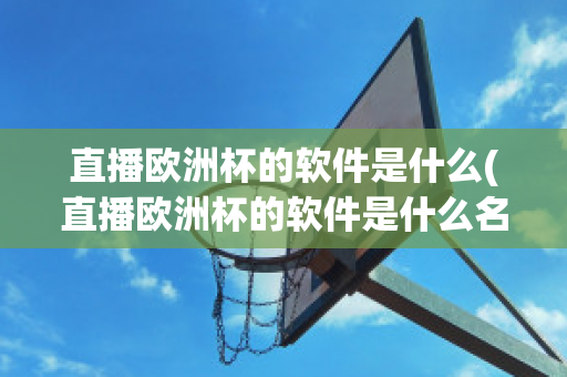 直播欧洲杯的软件是什么(直播欧洲杯的软件是什么名字)