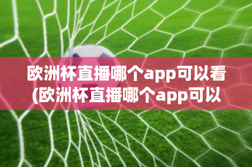 欧洲杯直播哪个app可以看(欧洲杯直播哪个app可以看到)