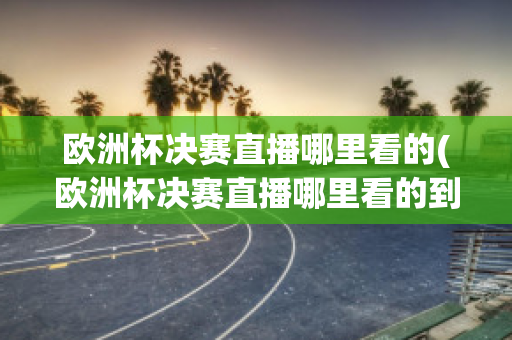 欧洲杯决赛直播哪里看的(欧洲杯决赛直播哪里看的到)