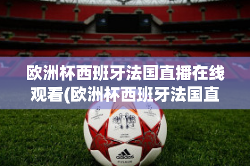 欧洲杯西班牙法国直播在线观看(欧洲杯西班牙法国直播在线观看高清)