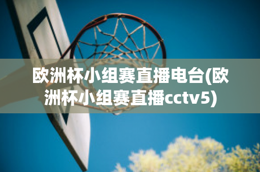 欧洲杯小组赛直播电台(欧洲杯小组赛直播cctv5)