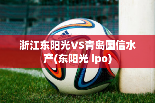 浙江东阳光VS青岛国信水产(东阳光 ipo)