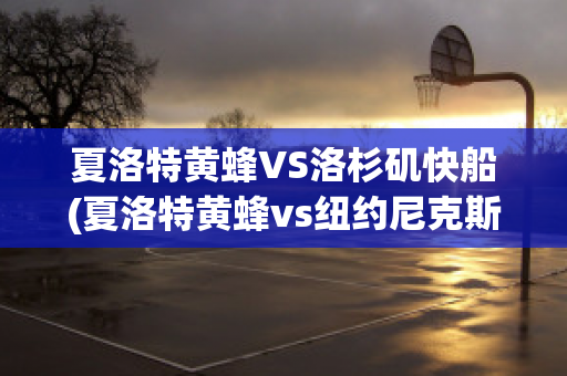 夏洛特黄蜂VS洛杉矶快船(夏洛特黄蜂vs纽约尼克斯)