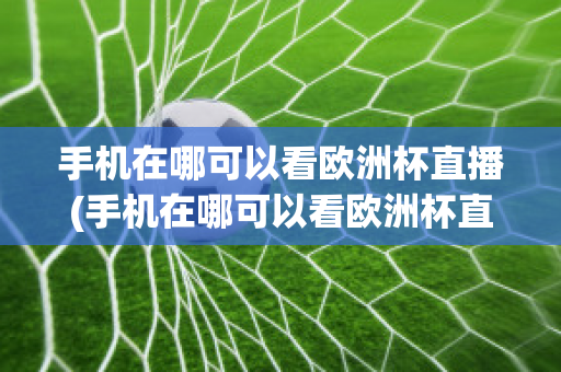 手机在哪可以看欧洲杯直播(手机在哪可以看欧洲杯直播视频)