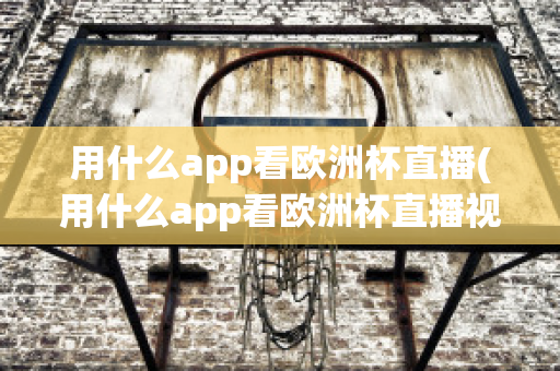 用什么app看欧洲杯直播(用什么app看欧洲杯直播视频)