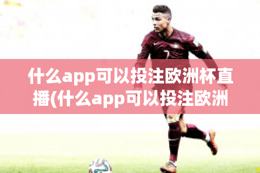 什么app可以投注欧洲杯直播(什么app可以投注欧洲杯直播软件)