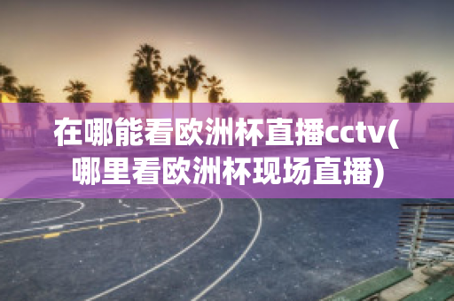 在哪能看欧洲杯直播cctv(哪里看欧洲杯现场直播)