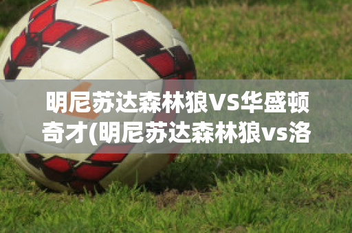 明尼苏达森林狼VS华盛顿奇才(明尼苏达森林狼vs洛杉矶湖人)