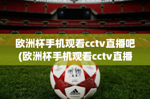 欧洲杯手机观看cctv直播吧(欧洲杯手机观看cctv直播吧视频)