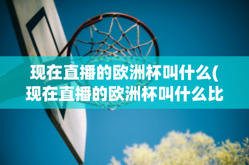 现在直播的欧洲杯叫什么(现在直播的欧洲杯叫什么比赛)