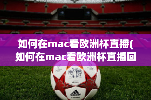 如何在mac看欧洲杯直播(如何在mac看欧洲杯直播回放)