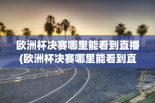 欧洲杯决赛哪里能看到直播(欧洲杯决赛哪里能看到直播视频)