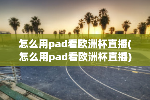 怎么用pad看欧洲杯直播(怎么用pad看欧洲杯直播)