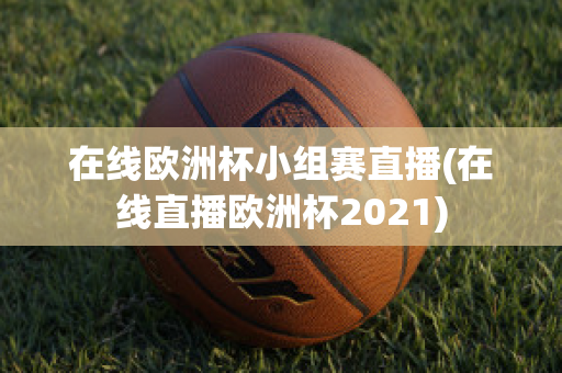 在线欧洲杯小组赛直播(在线直播欧洲杯2021)