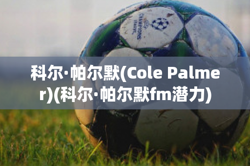 科尔·帕尔默(Cole Palmer)(科尔·帕尔默fm潜力)