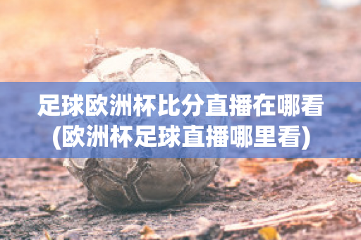 足球欧洲杯比分直播在哪看(欧洲杯足球直播哪里看)