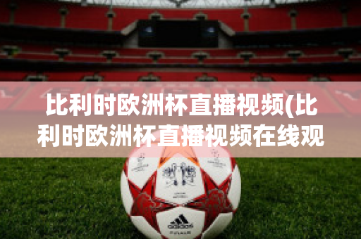 比利时欧洲杯直播视频(比利时欧洲杯直播视频在线观看)