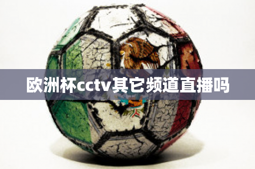 欧洲杯cctv其它频道直播吗