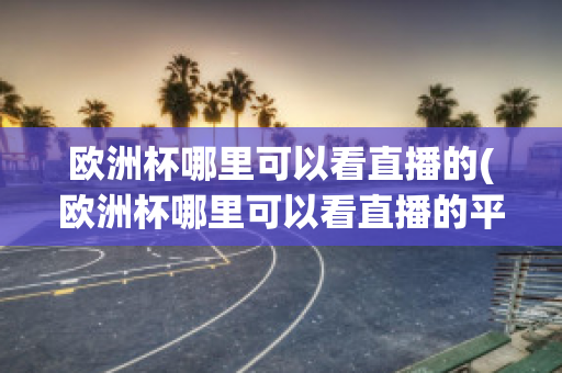 欧洲杯哪里可以看直播的(欧洲杯哪里可以看直播的平台)