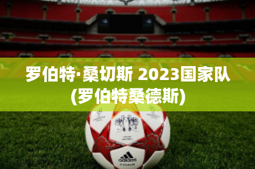 罗伯特·桑切斯 2023国家队(罗伯特桑德斯)