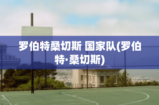 罗伯特桑切斯 国家队(罗伯特·桑切斯)