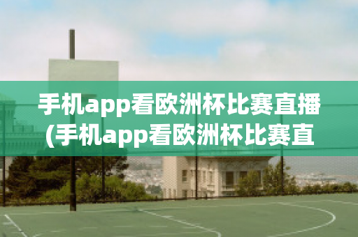 手机app看欧洲杯比赛直播(手机app看欧洲杯比赛直播怎么看)