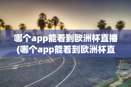 哪个app能看到欧洲杯直播(哪个app能看到欧洲杯直播视频)