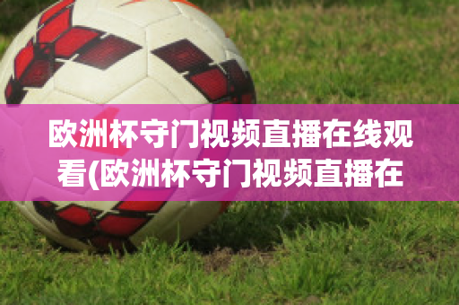 欧洲杯守门视频直播在线观看(欧洲杯守门视频直播在线观看高清)