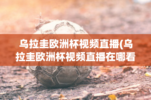 乌拉圭欧洲杯视频直播(乌拉圭欧洲杯视频直播在哪看)