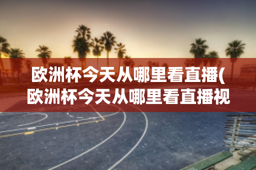 欧洲杯今天从哪里看直播(欧洲杯今天从哪里看直播视频)