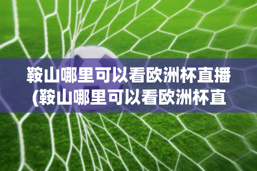 鞍山哪里可以看欧洲杯直播(鞍山哪里可以看欧洲杯直播的地方)