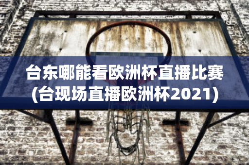 台东哪能看欧洲杯直播比赛(台现场直播欧洲杯2021)