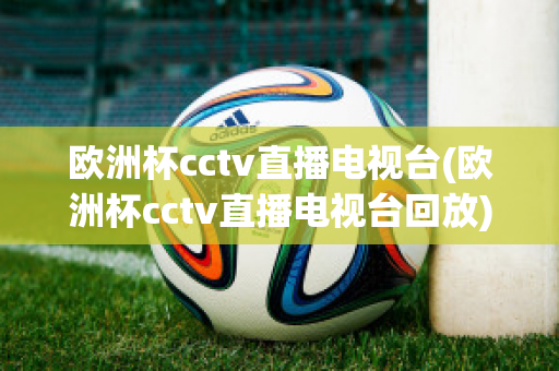 欧洲杯cctv直播电视台(欧洲杯cctv直播电视台回放)