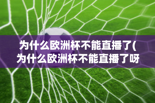 为什么欧洲杯不能直播了(为什么欧洲杯不能直播了呀)