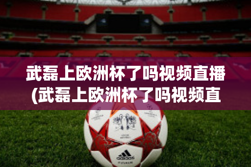 武磊上欧洲杯了吗视频直播(武磊上欧洲杯了吗视频直播在线观看)