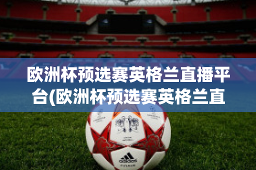 欧洲杯预选赛英格兰直播平台(欧洲杯预选赛英格兰直播平台官网)