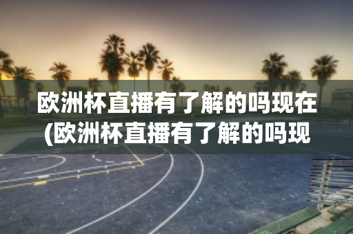 欧洲杯直播有了解的吗现在(欧洲杯直播有了解的吗现在还能看吗)