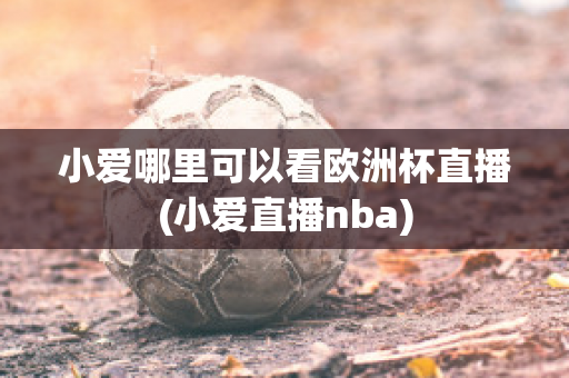 小爱哪里可以看欧洲杯直播(小爱直播nba)