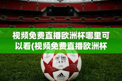 视频免费直播欧洲杯哪里可以看(视频免费直播欧洲杯哪里可以看回放)