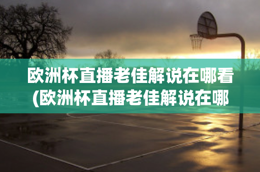 欧洲杯直播老佳解说在哪看(欧洲杯直播老佳解说在哪看回放)