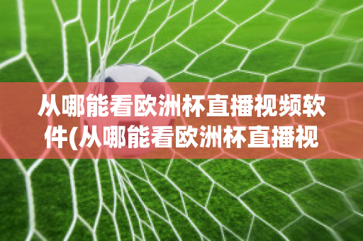 从哪能看欧洲杯直播视频软件(从哪能看欧洲杯直播视频软件免费)