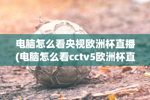 电脑怎么看央视欧洲杯直播(电脑怎么看cctv5欧洲杯直播)